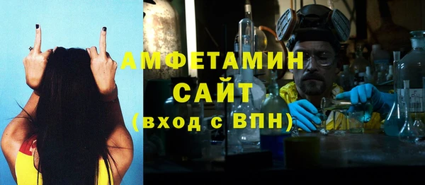 индика Покачи