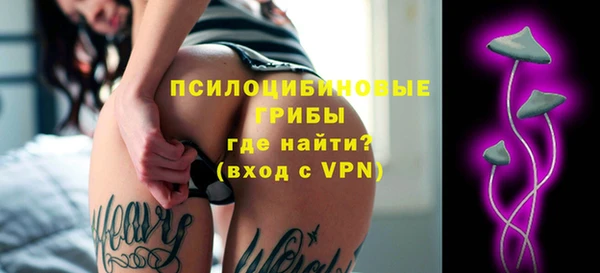 ПСИЛОЦИБИНОВЫЕ ГРИБЫ Переславль-Залесский