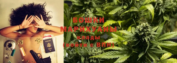 индика Покачи
