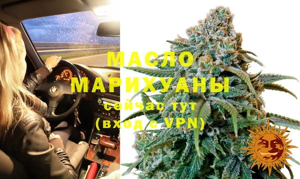 индика Кедровый