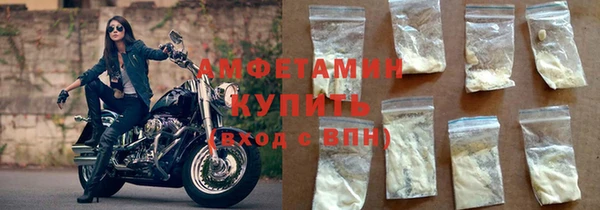 индика Покачи