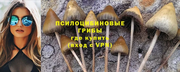 MESCALINE Пересвет