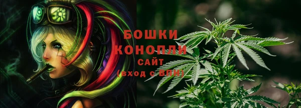 ПСИЛОЦИБИНОВЫЕ ГРИБЫ Переславль-Залесский